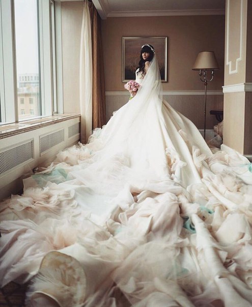 Longest Royal Wedding Dress Train - bestweddingdresses